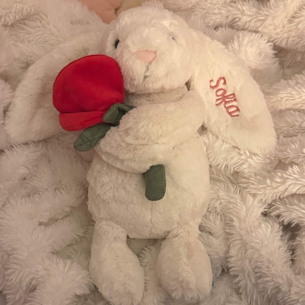 custom valentine’s day jelly cat with sofia embroidered